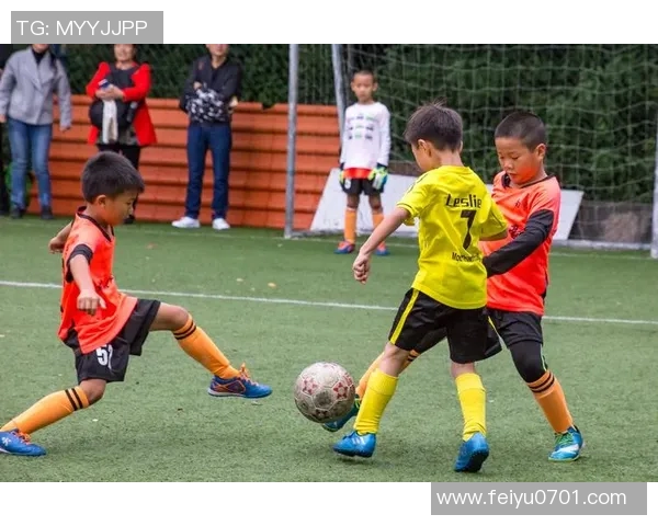 广州篮球队在洲际杯中的强势表现与未来发展潜力分析