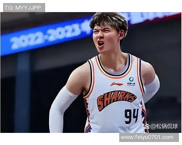 成都篮球队在世界杯预选赛中的状态分析与表现点评